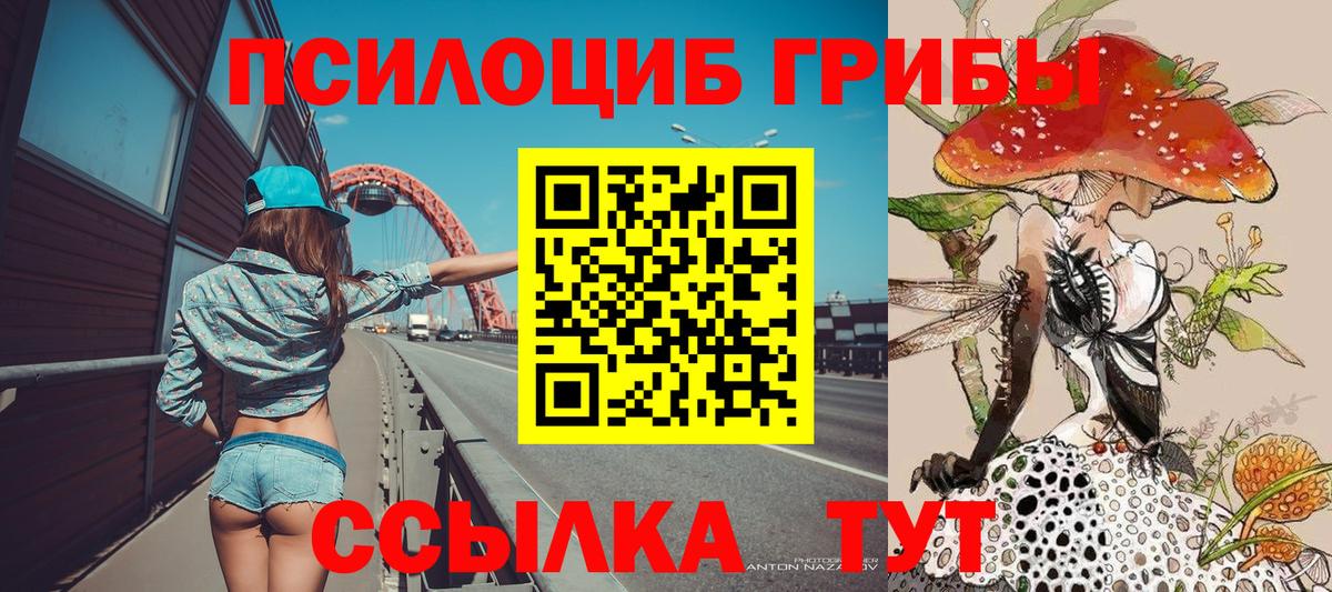 Псилоцибиновые грибы Cubensis  Вход с VPN  Новошахтинск 