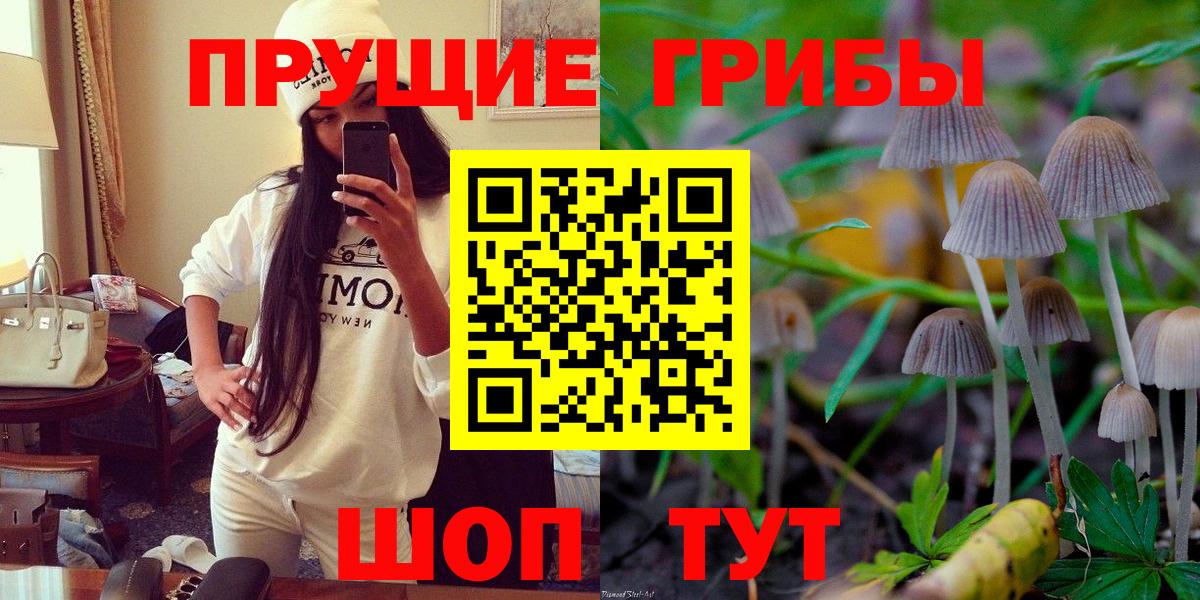 Галлюциногенные грибы GOLDEN TEACHER Новошахтинск